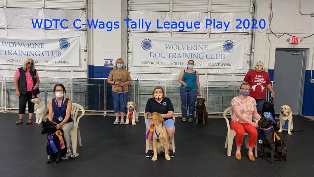 WDTC C-Wag Tally League Play 2020