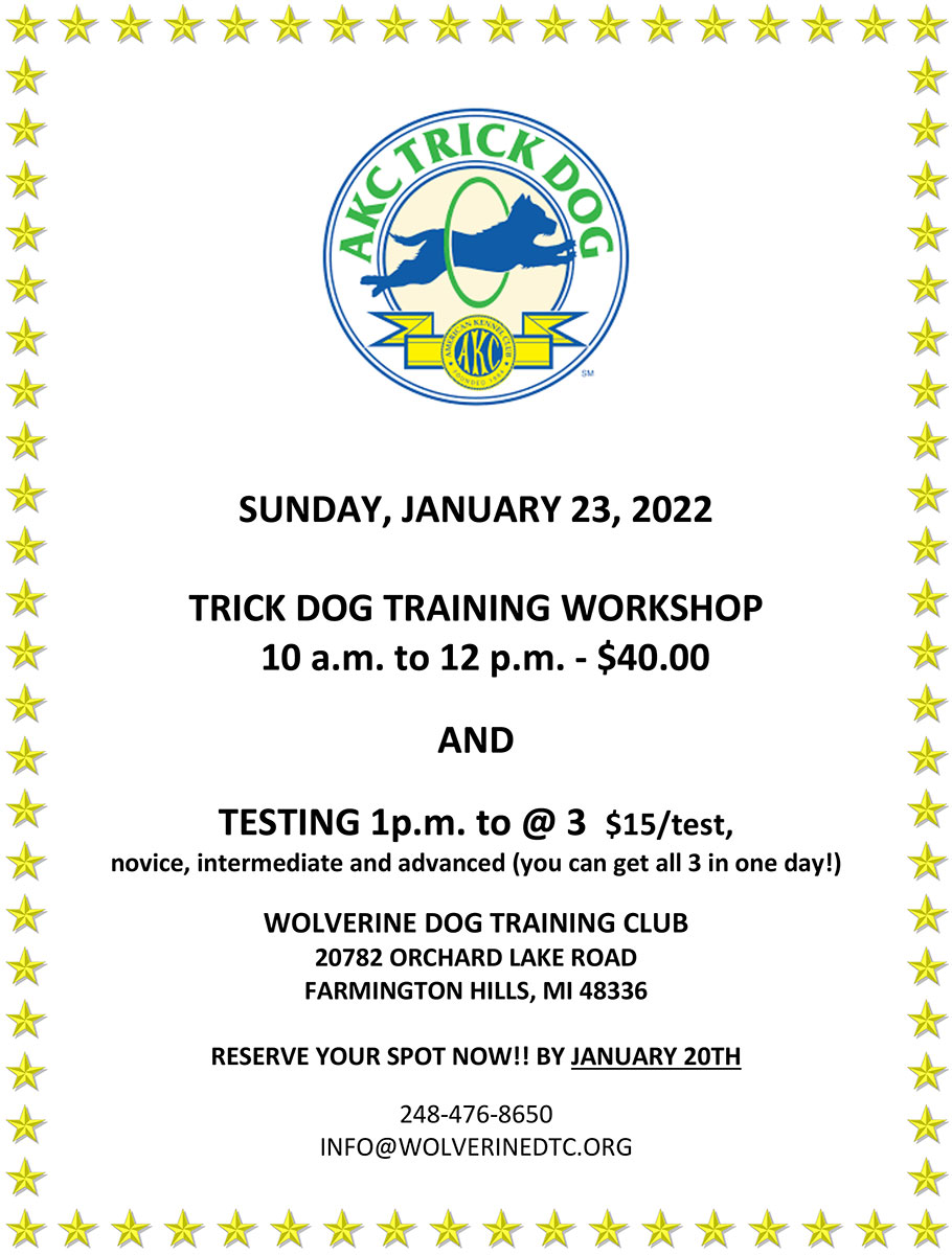 Trick Dog Workshop